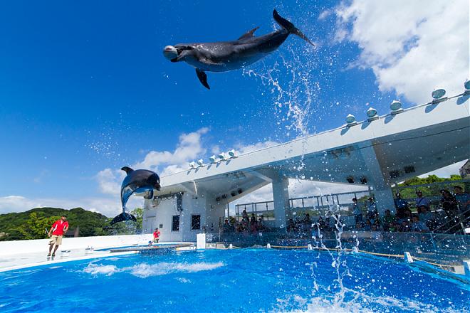 长崎九十九岛水族馆×动物园套票