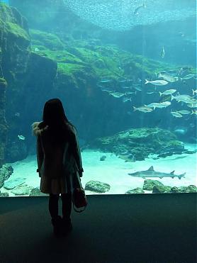 长崎九十九岛水族馆×动物园套票