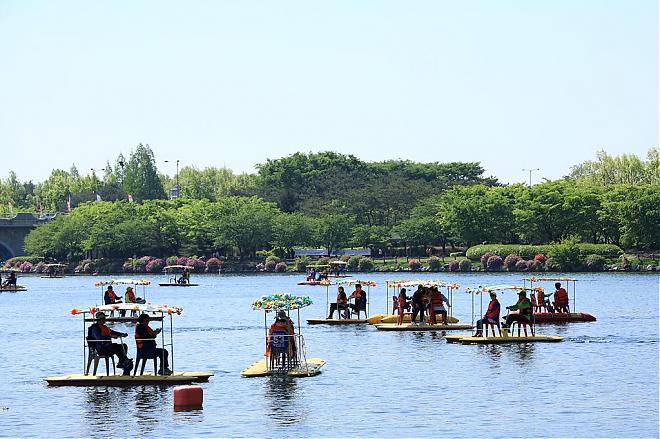 2020首尔杜鹃花庆典×赏樱花×采草莓一日游