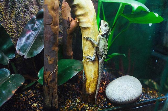 【墨尔本亲子同游景点】墨尔本海洋生物水族馆