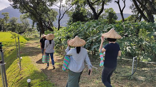 农村厨房｜台北×阳明山梅居秘境蔬食厨房