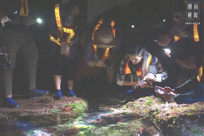 潮向秘境｜夜访基隆和平岛潮间带X在地精酿啤酒