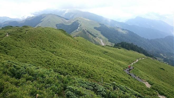 【振兴森活】南投｜合欢山冷杉林&冰河遗迹高山健行2日游