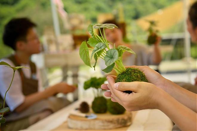 宜兰东风梦幻露营Glamping｜免装备．职感生活．管家服务