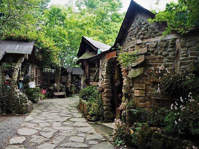 阿里山包车自由行。一日游路线任你选｜9H交通服务