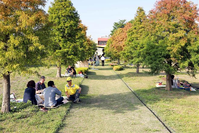 彰化二林 | 酒庄微醺x落羽松野餐小旅行