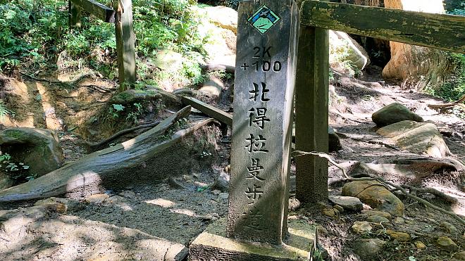 新竹北得拉曼山巨木步道一日｜全台最低海拔桧木森林