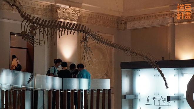 《诺亚计画》国立台湾博物馆实境游戏包｜开启时空任务