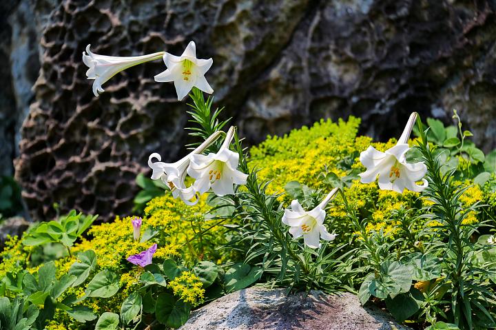 基隆屿登岛趣｜来回船票、登岛申请、导览｜赠出游礼包