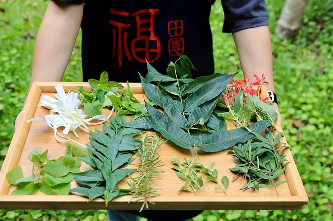 谁是真厨神？台北农村里的战斗厨房，打造黄金团队