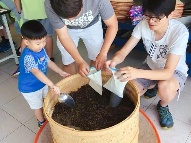 大家来找“茶”，宜兰亮点茶庄体验X手做茶香故事枕