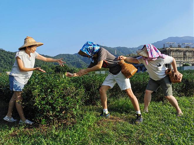 大家来找“茶”，宜兰亮点茶庄体验X手做茶香故事枕