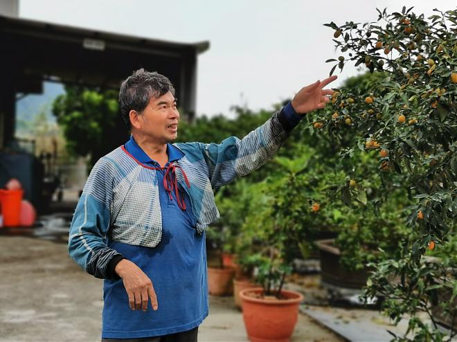 枣乐趣，酸柑甜ㄟ滋味！宜兰金枣职人生活体验