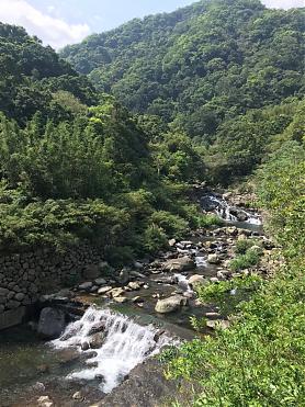 桃园东满步道一日健行挑战｜东眼山至满月圆14K