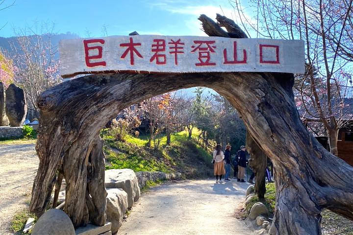新竹司马库斯一日游接驳｜舒适小车服务｜台北／新竹出发