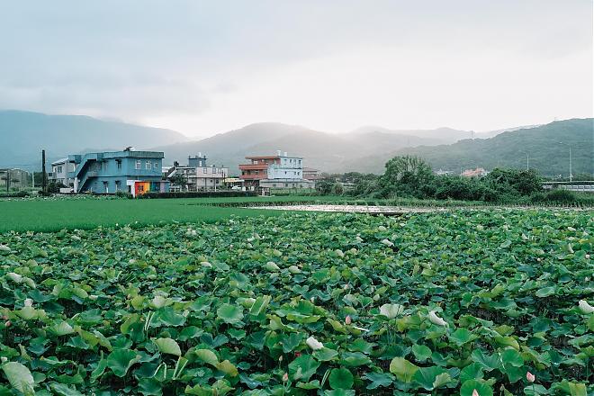 【万金杜鹃巧拼之旅】拼出“只属于你”的旅游行程！