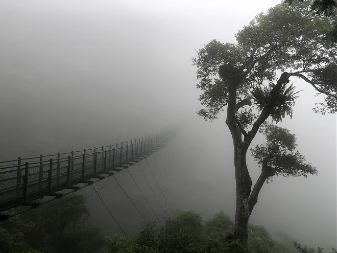 徐行纵谷 ~ 自行车游读花东｜玉里小镇～走入黑熊国