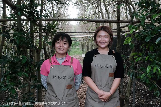 《东河大风吹》台东东河沉香森林园倒流香手作体验
