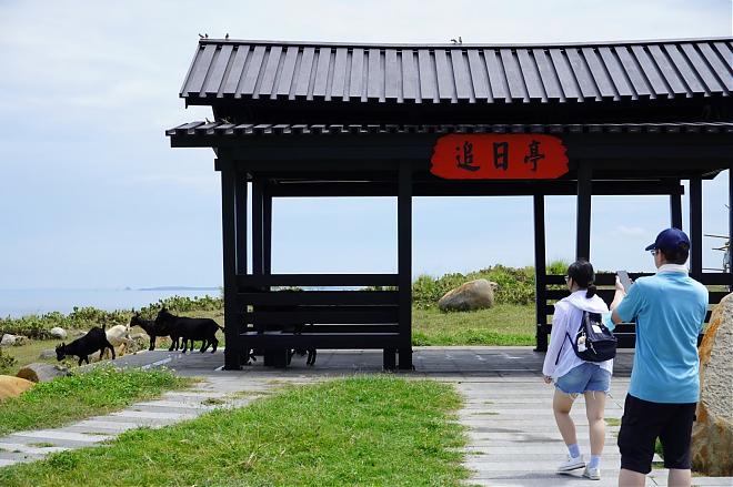 澎湖疯船长的虎蓝半日游｜虎井屿猫岛秘境．海上玩水趴
