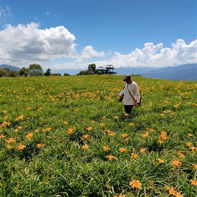 花莲六十石山．自行车漫游金针花海轻骑行｜车站接驳