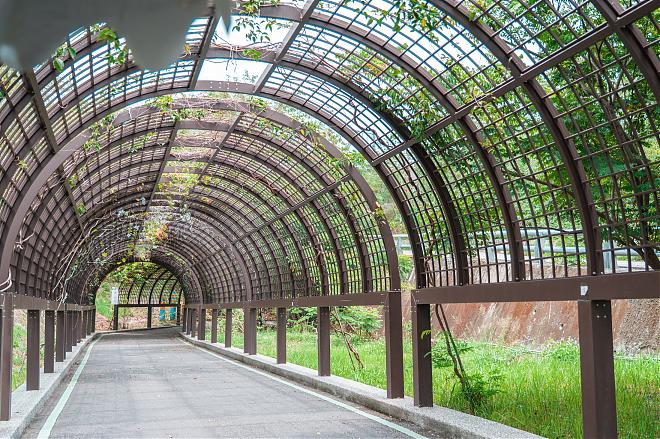 台东市区半日自行车小旅行｜琵琶湖森林＆海滨公园