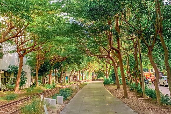 台东市区半日自行车小旅行｜琵琶湖森林＆海滨公园