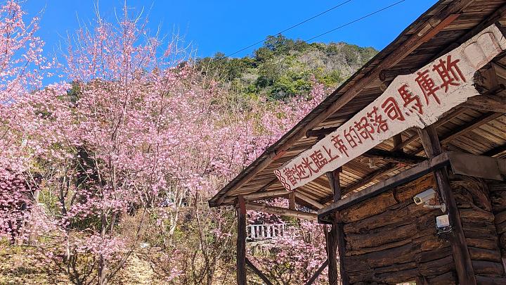 新竹司马库斯星空露营团｜野外私厨．山林生活