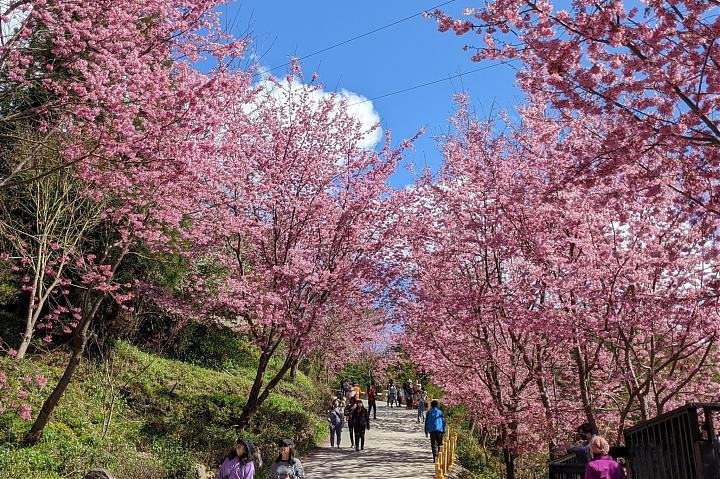 新竹司马库斯星空露营团｜野外私厨．山林生活