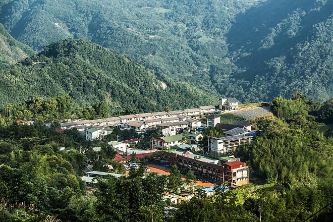 阿里山特富野古道．不插电咖啡体验二日游