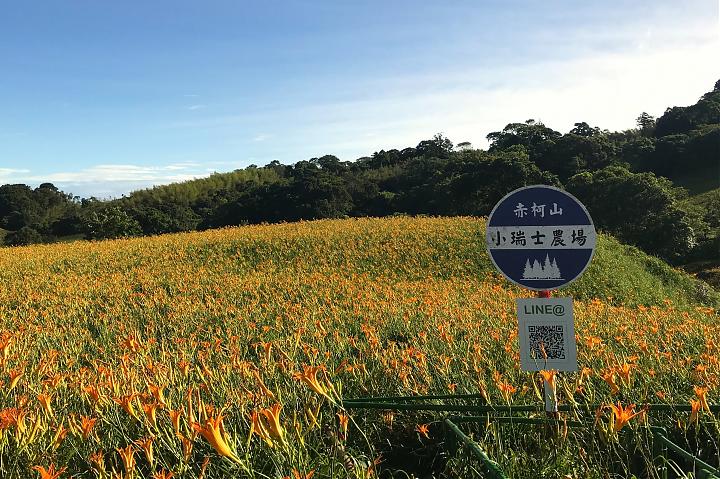 花莲瑞穗天合国际饭店．金针花季超值套装｜免费升等房&奔驰接驳