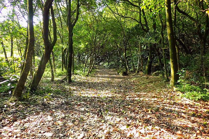 淡兰古道北路健行｜灿光寮古道＋貂山古道Ｏ型纵走