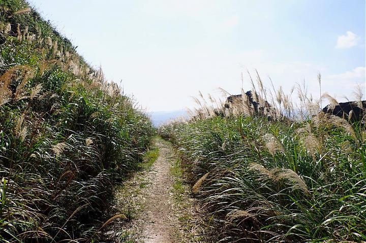 淡兰古道北路健行｜灿光寮古道＋貂山古道Ｏ型纵走