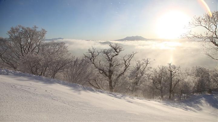 名古屋出发 | Meiho滑雪场一日游(含巴士/缆车券)