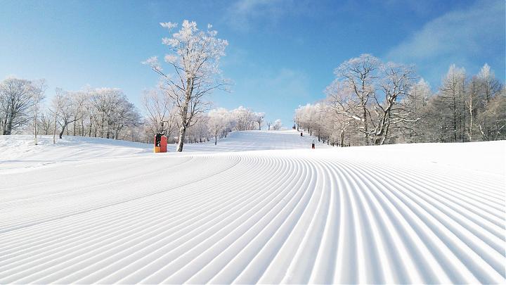 名古屋出发 | Meiho滑雪场巴士一日游（含缆车券+全套滑雪用具）
