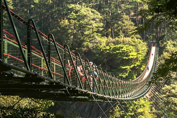 奥万大森林愈．万大电厂．松林部落3日游