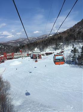 北海道札幌国际滑雪场一日游|札幌出发（全天滑雪）