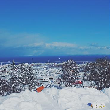 北海道札幌国际滑雪场一日游|札幌出发（全天滑雪）