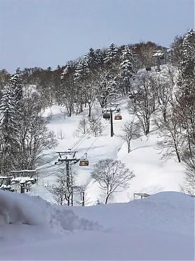 北海道札幌国际滑雪场一日游|札幌出发（全天滑雪）