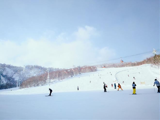 北海道札幌国际滑雪场一日游|札幌出发（全天滑雪）