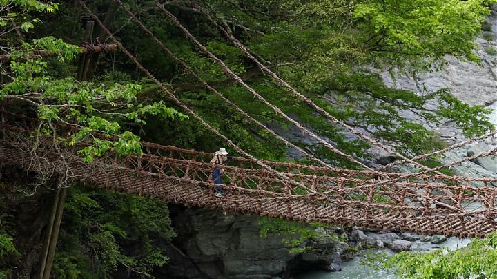 高知山海慢旅｜日本高知风土5日