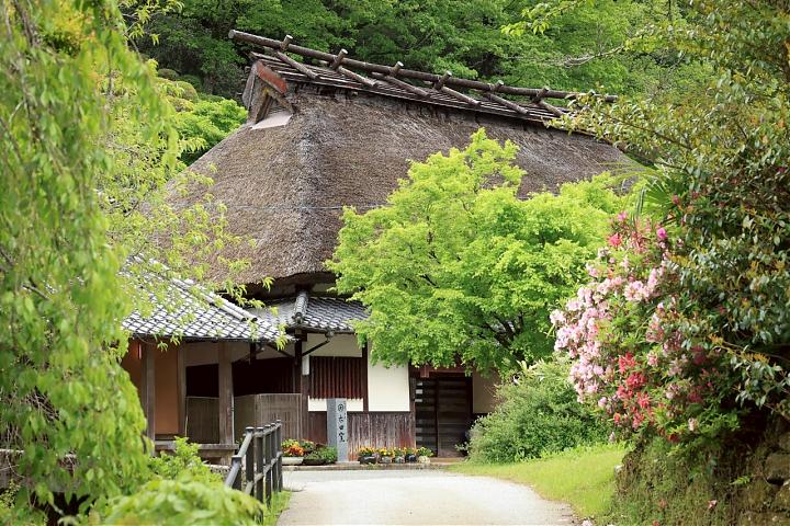 九州佐贺工艺物语五日｜从藩主献上品到日用之美 
