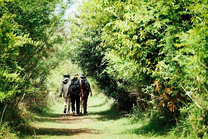 勾搭勾搭・偶来｜济州岛徒步登山分享会x新手友善