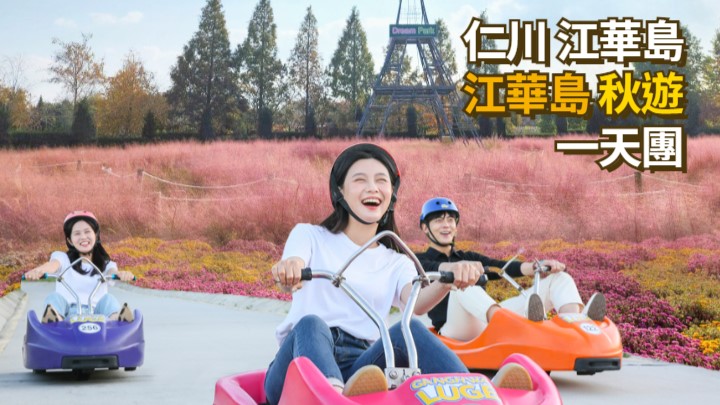 首尔近郊仁川江华岛斜坡滑车.粉黛乱子草.乘船喂海鸥一日游
