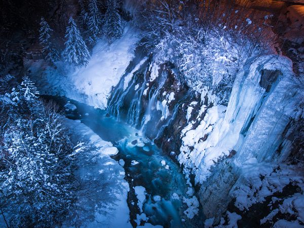 北海道旭山动物园一日游｜美瑛青池、白须瀑布