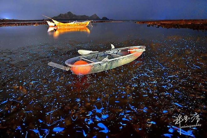 Matsu Dongju Transparent Canoe - Admire the Blue Tears at Night
