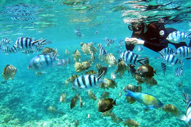 Okinawa Onna Blue Cave Snorkeling Adults (Ages 11+/Separately) 2-person tour!
