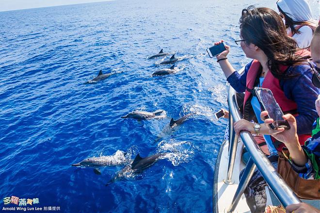 Hualien Doroman Whale Watching Cruise | Kuroshio Ocean Commentary & Friendly Whale Watching Certification