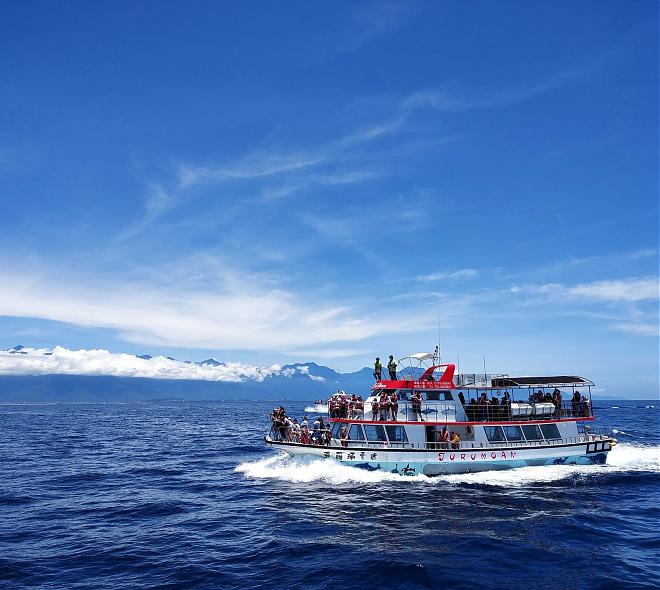 Hualien Doroman Whale Watching Cruise | Kuroshio Ocean Commentary & Friendly Whale Watching Certification