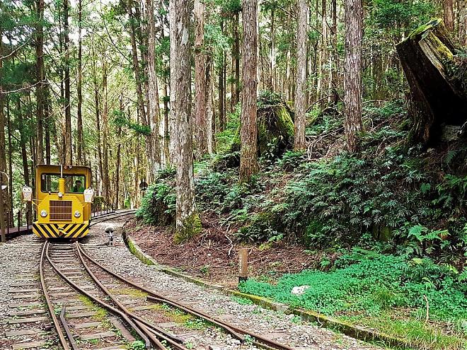 Yilan Taipingshan Forest Day Trip | Bounce Car, Sunshine Trail, Jiuzhize Hot Springs