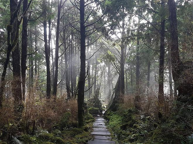 Yilan Taipingshan Forest Day Trip | Bounce Car, Sunshine Trail, Jiuzhize Hot Springs